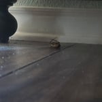 Air BNB cleaning