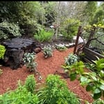 Mulch