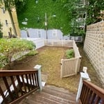Yard cleanup