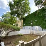 Yard cleanup