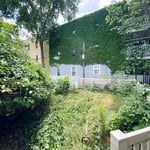 Yard cleanup