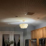 Light Fixture
