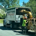 Tree Removal & Pruning 1