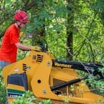 Tree Removal & Pruning 1