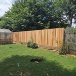 Cedar fence