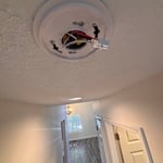 Smoke alarms replaced
