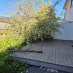 Front & Back Yard Cleanup