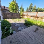 Front & Back Yard Cleanup