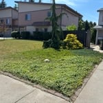 Front & Back Yard Cleanup