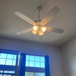 fan