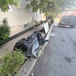 Junk removal
