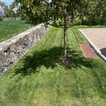 Lawn mowing