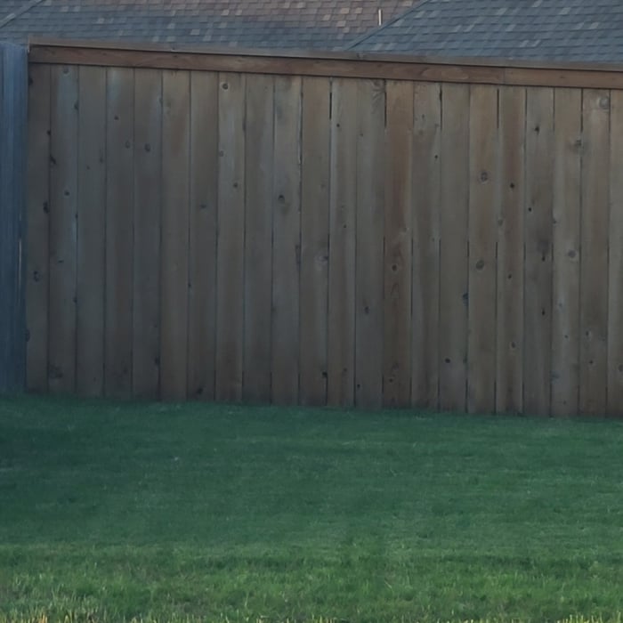 fencing options