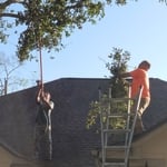 Trimming