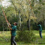 Trimming
