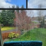 Window Cleaning