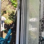 Window Cleaning