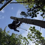 Hazard tree removal