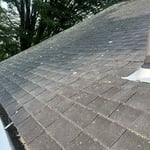 Roof cleaning