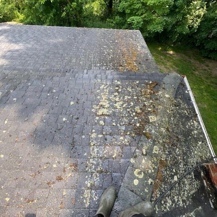Roof cleaning