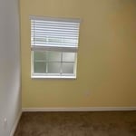 Accent walls