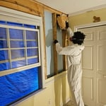 Mold Remediation Services