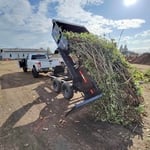 Junk removal