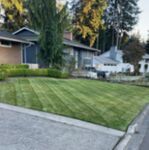 lawn care
