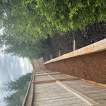 Mulch Bed / Sod Removal
