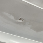 Here is the ceiling damage by water