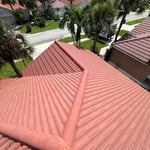 Clean Roof