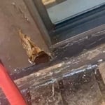 Exterior repair and paint