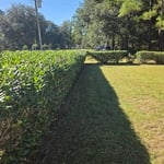 LawnCare Maintenance