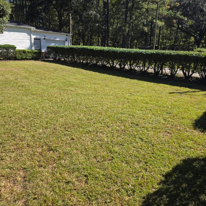 LawnCare Maintenance