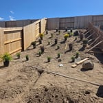 Garden design