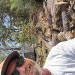 Tree removal