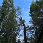 high climb