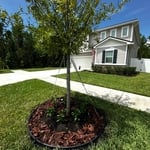 Oakleaf Landscape Refresh