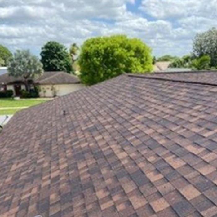 Shingle Roof