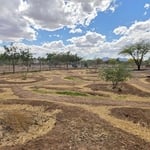 Earthworks