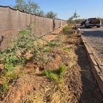 Windbreak