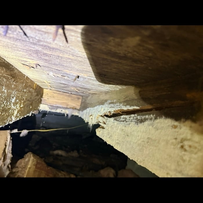 Structural Inspection