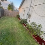 Flower beds
