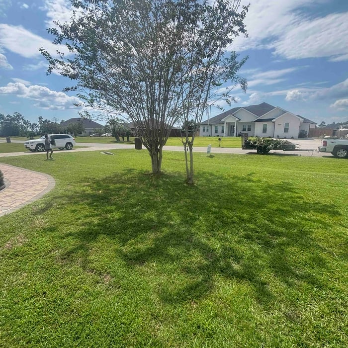 Lawn care