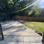 Tree removal