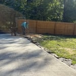 Tree removal