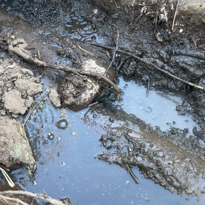 Partial Sewer Replacement