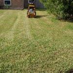 Lawn Care
