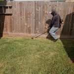 Lawn Care