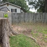 Large tree stump.
